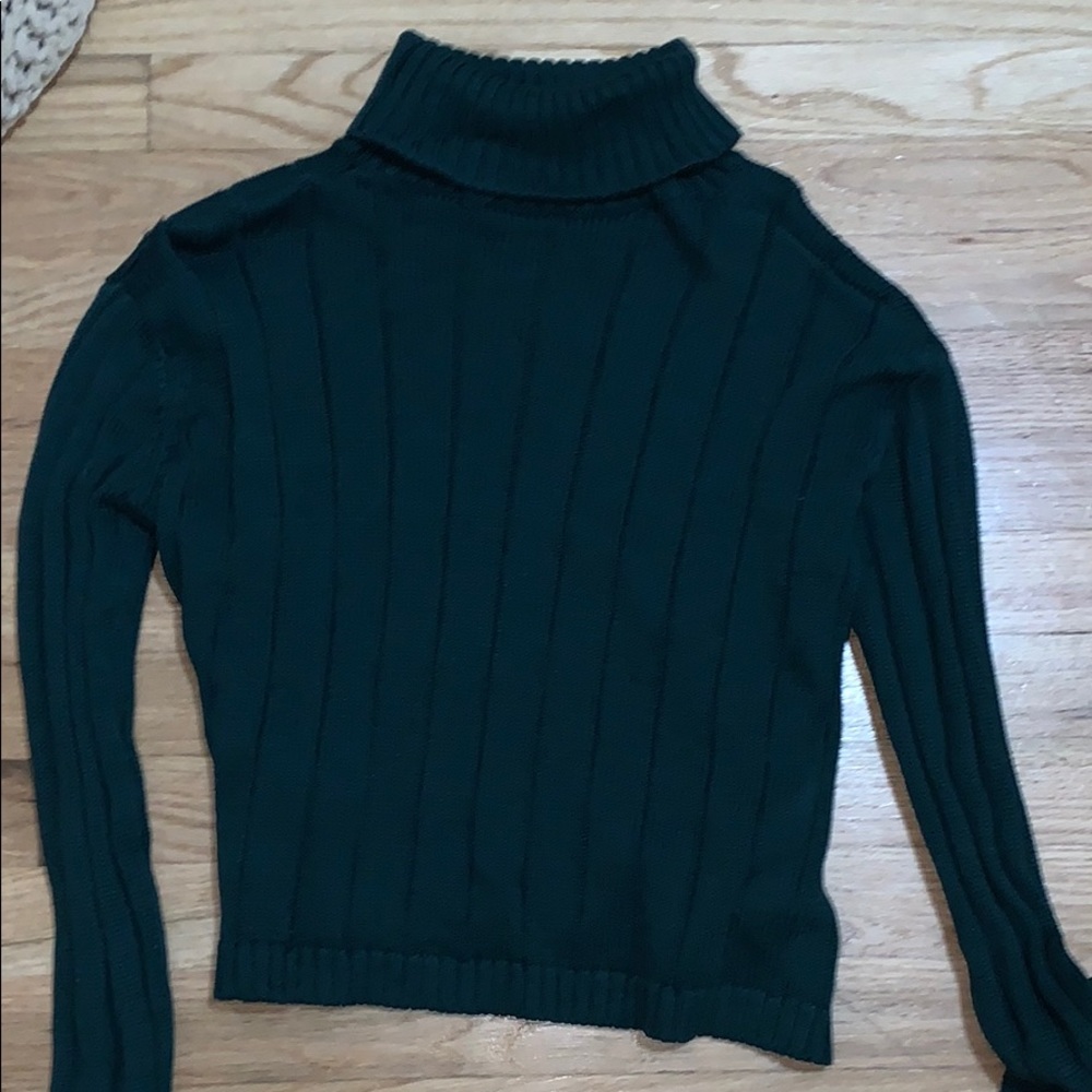 brandy melville, semi cropped turtle neck sweater